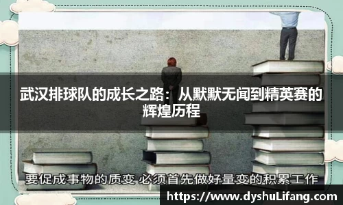 武汉排球队的成长之路：从默默无闻到精英赛的辉煌历程